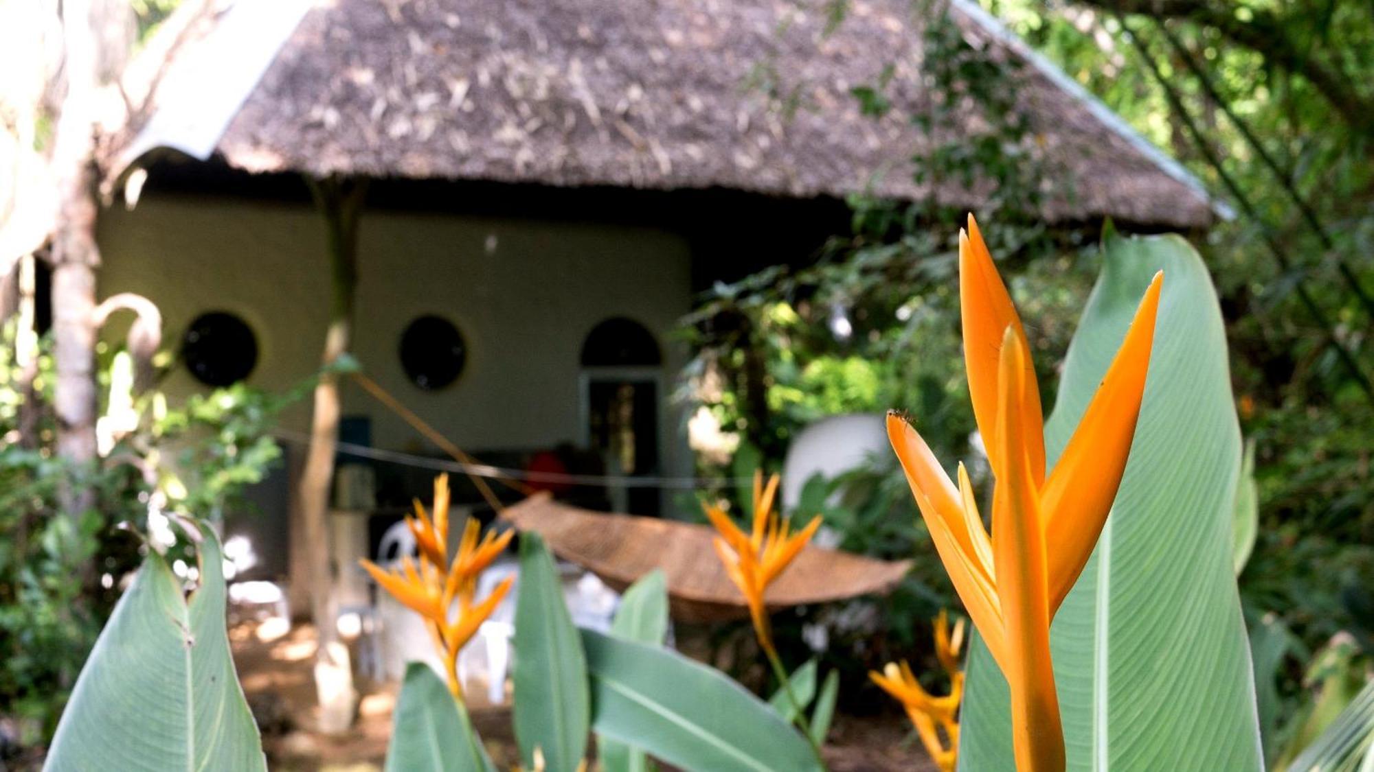 Kim's Garden Holiday home *