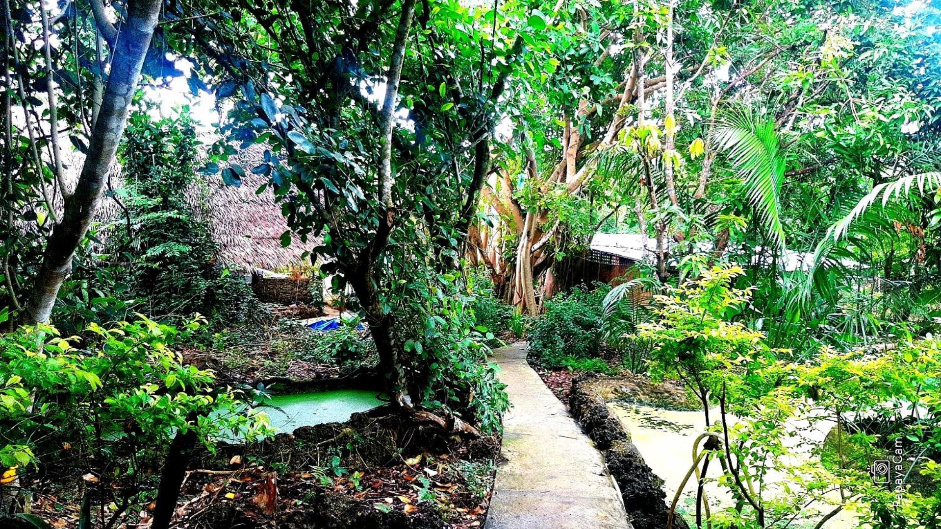 Kim's Garden * Anda (Visayas)