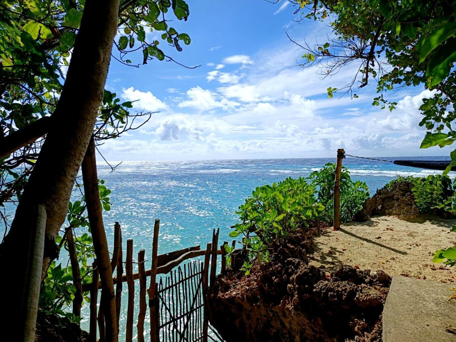 Kim's Garden * Anda (Visayas)