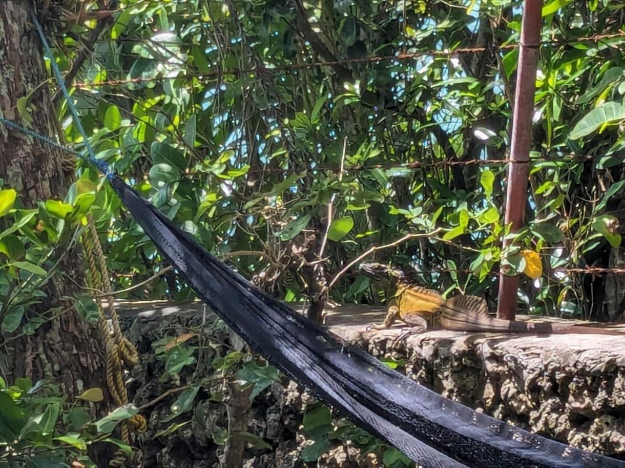 Kim's Garden Anda (Visayas)