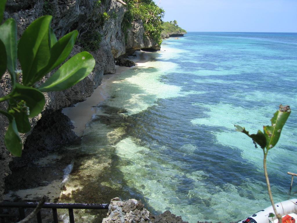 Kim's Garden Anda (Visayas)