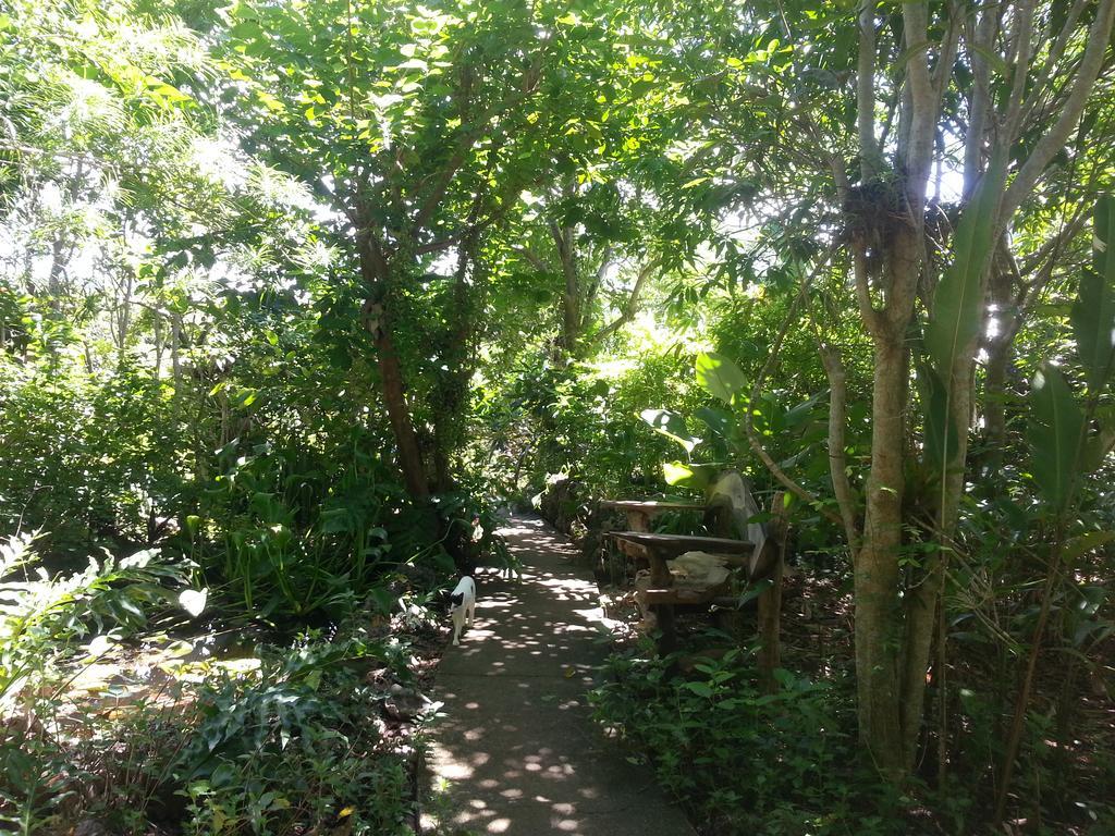 Kim's Garden